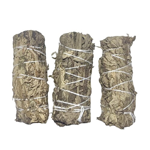 Mugwort Herb 10cm 2 Mugwort Herb