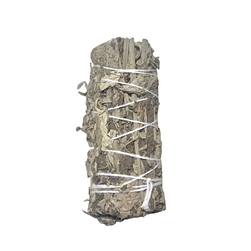 Mugwort Herb 10cm 1 Mugwort Herb